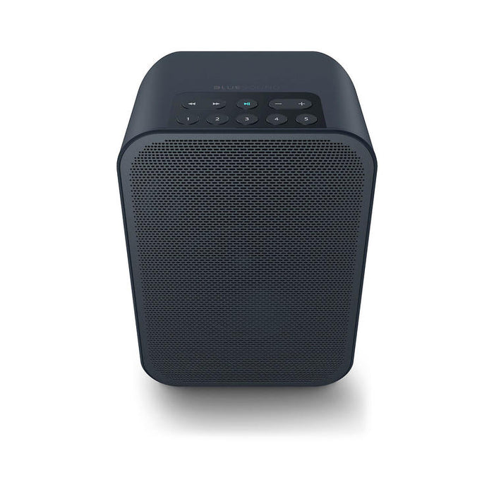 Bluesound PULSE FLEX 2i | Multi-Room Music Speaker - Wireless - Portable - Bluetooth - Black-Sonxplus St-Georges