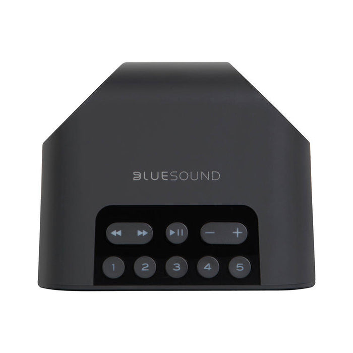 Bluesound PULSE FLEX 2i | Multi-Room Music Speaker - Wireless - Portable - Bluetooth - Black-Sonxplus St-Georges