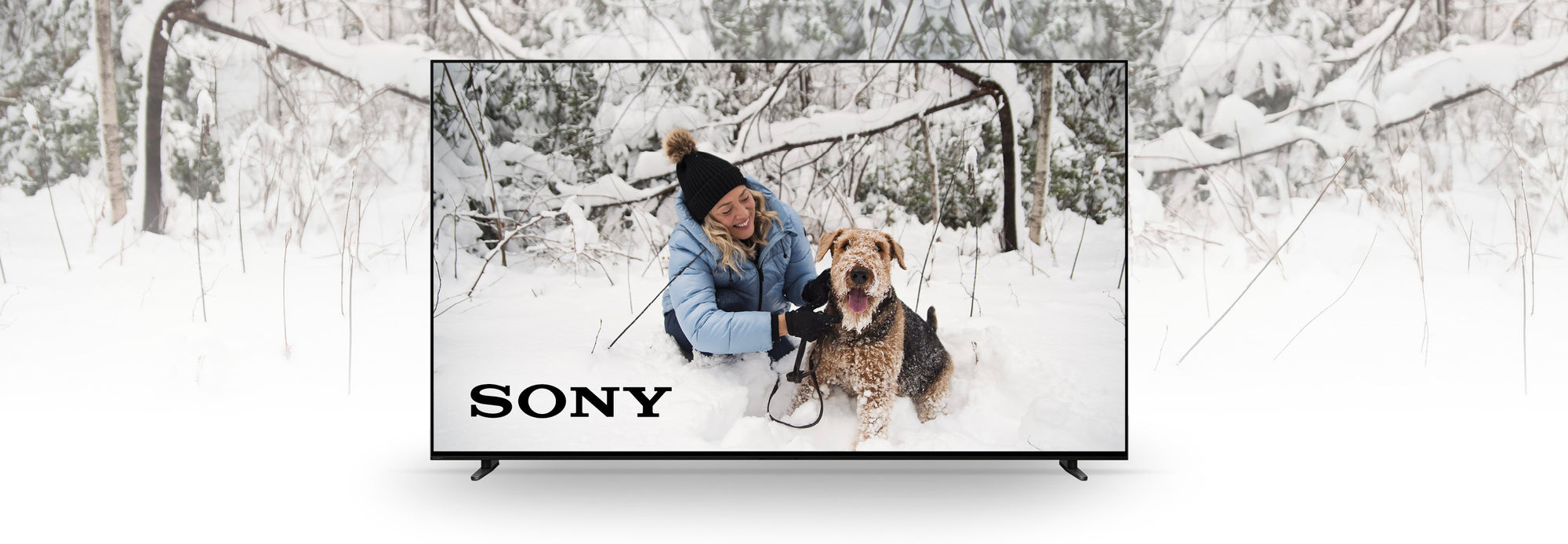 Sony | SONXPLUS St-Georges