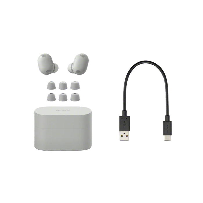 Sony WF-1000XM6 | In-ear headphones - Up to 24 hours of battery life - Platinum Silver-Sonxplus St-Georges